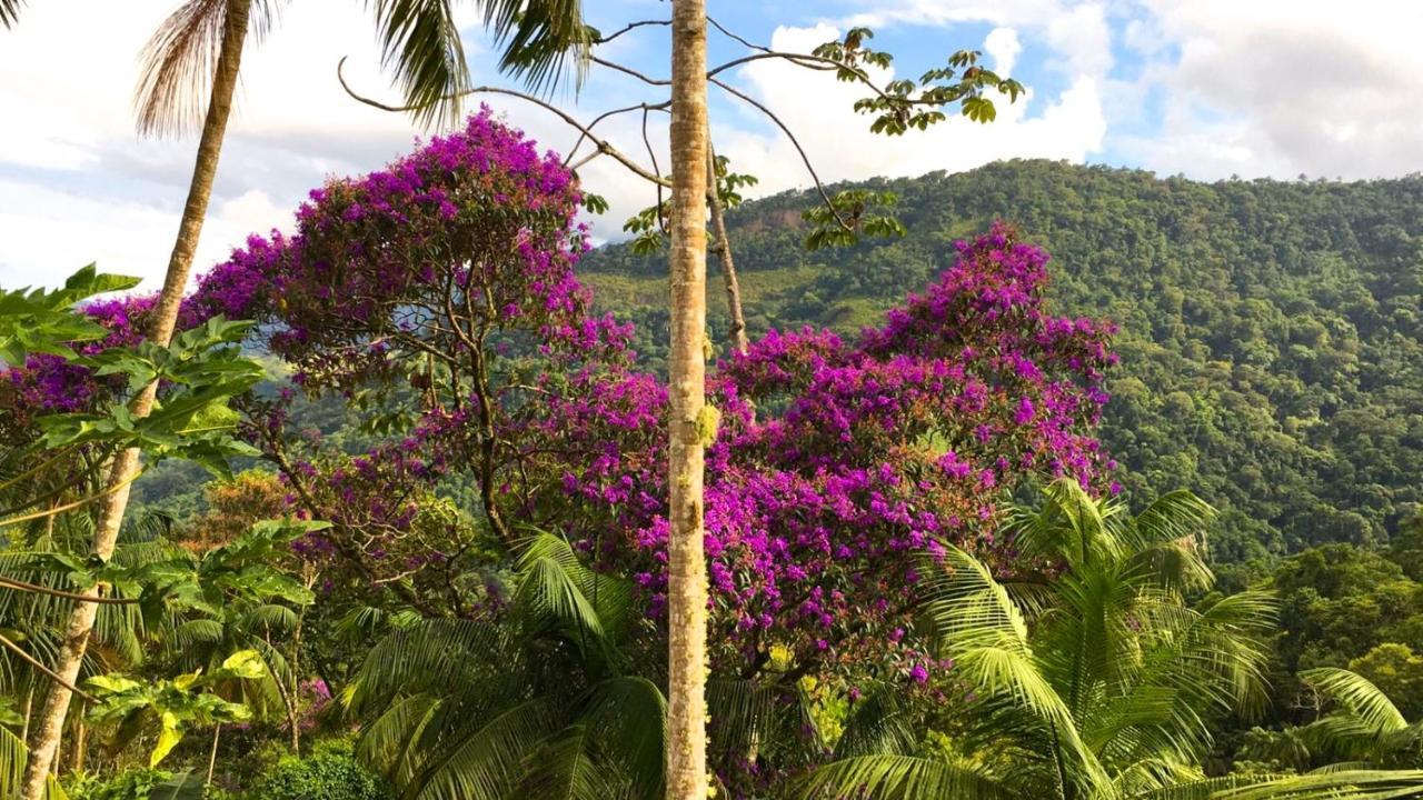 Casa Da Floresta Pico Da Aguia 帕拉蒂 外观 照片