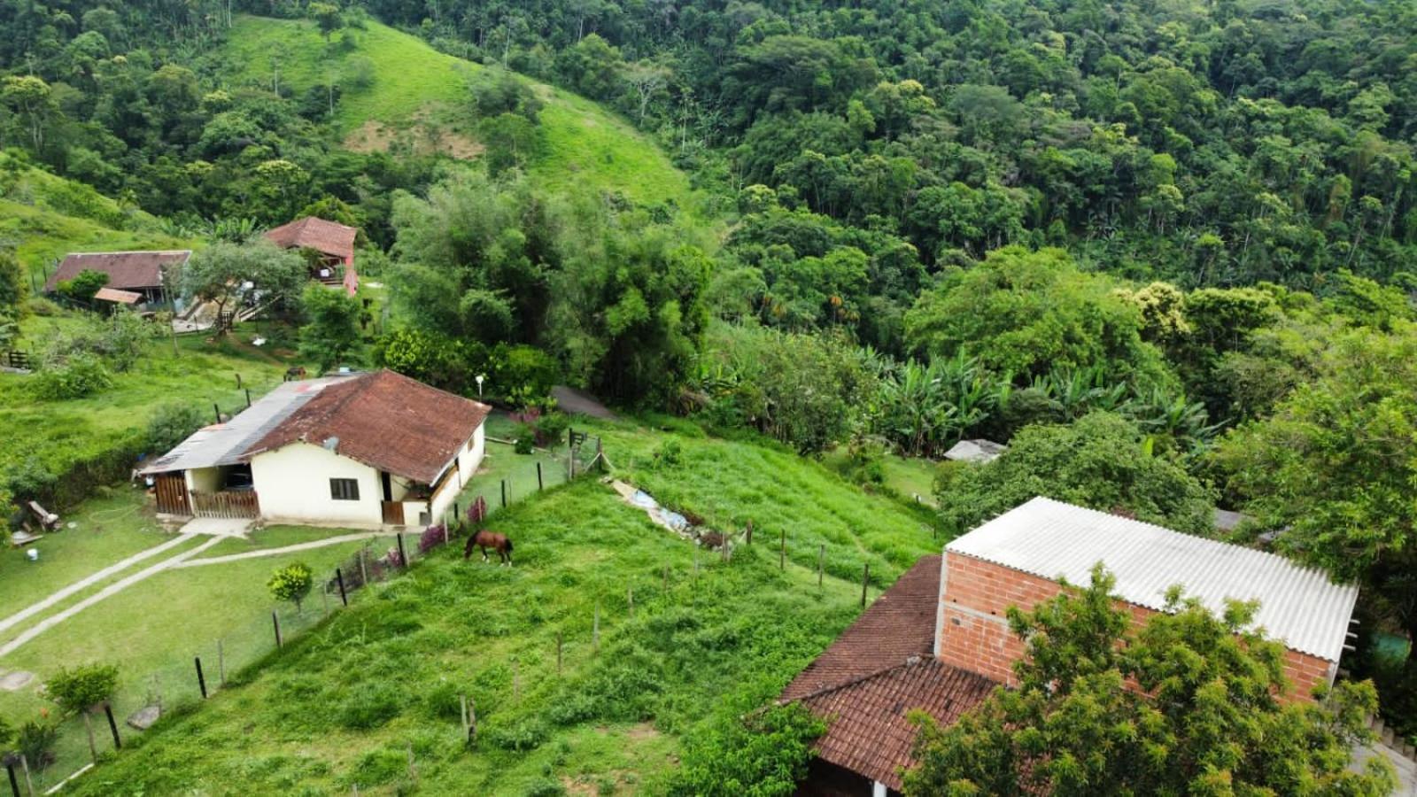 Casa Da Floresta Pico Da Aguia 帕拉蒂 外观 照片