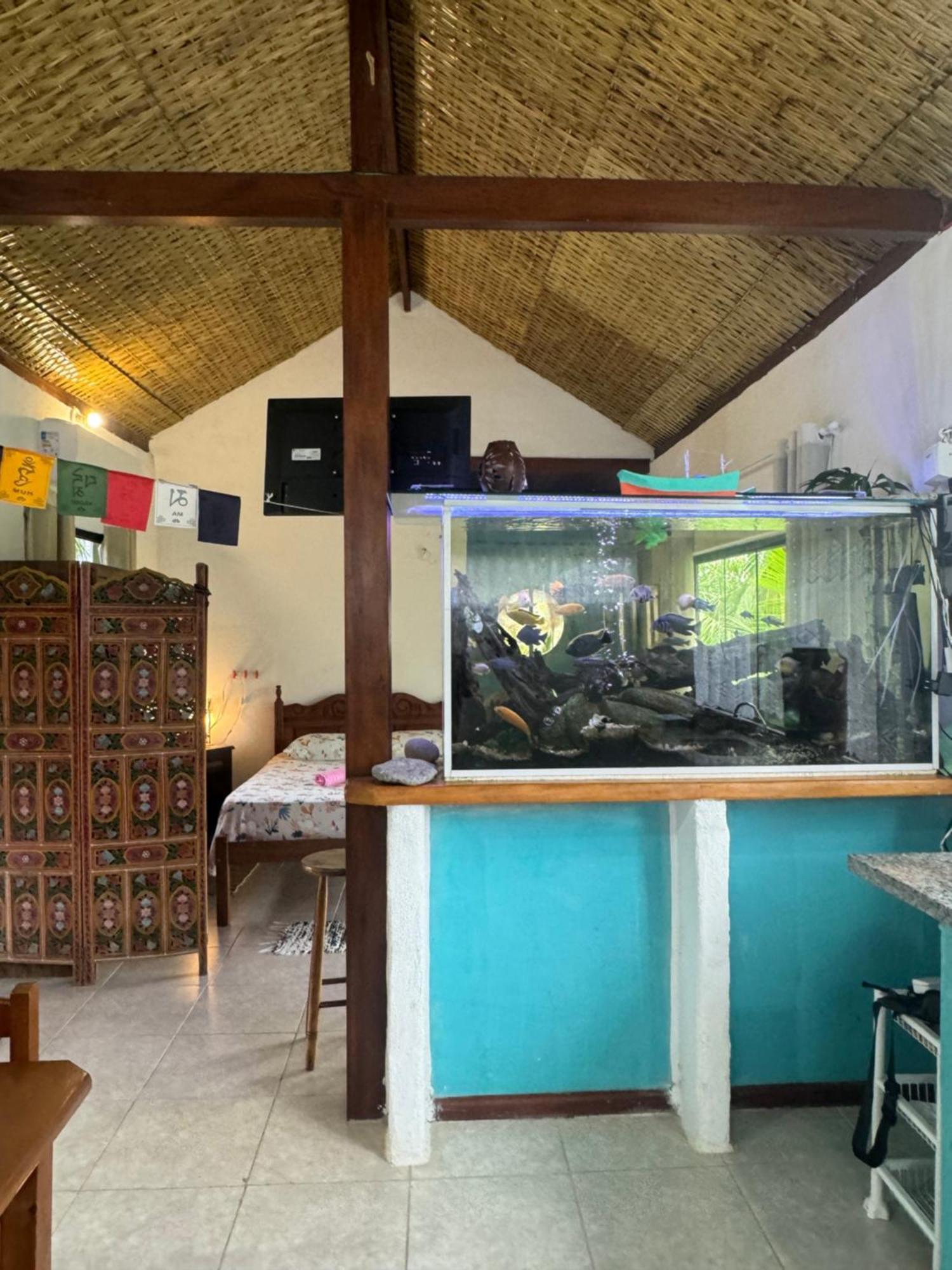 Casa Da Floresta Pico Da Aguia 帕拉蒂 外观 照片
