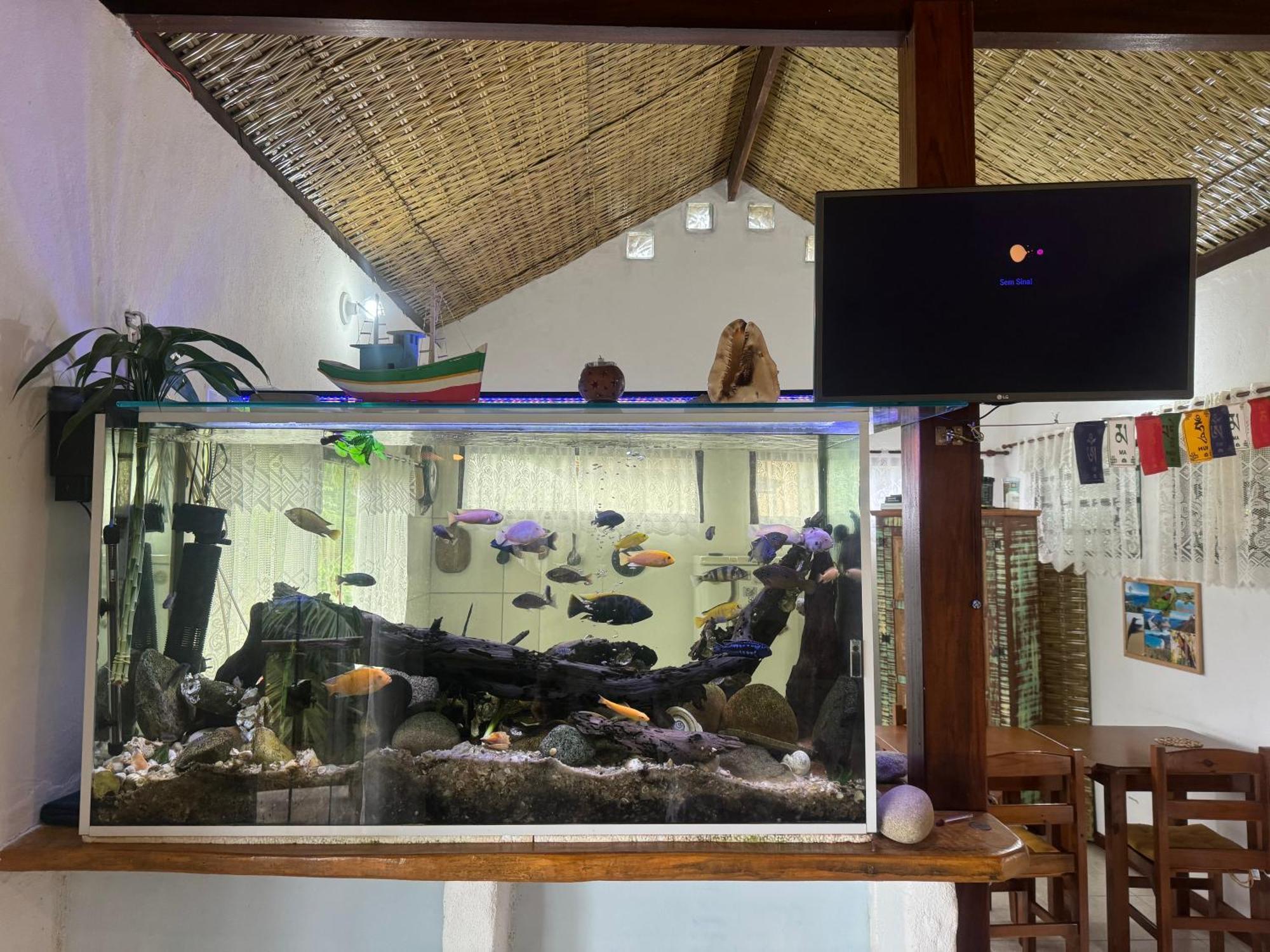 Casa Da Floresta Pico Da Aguia 帕拉蒂 外观 照片