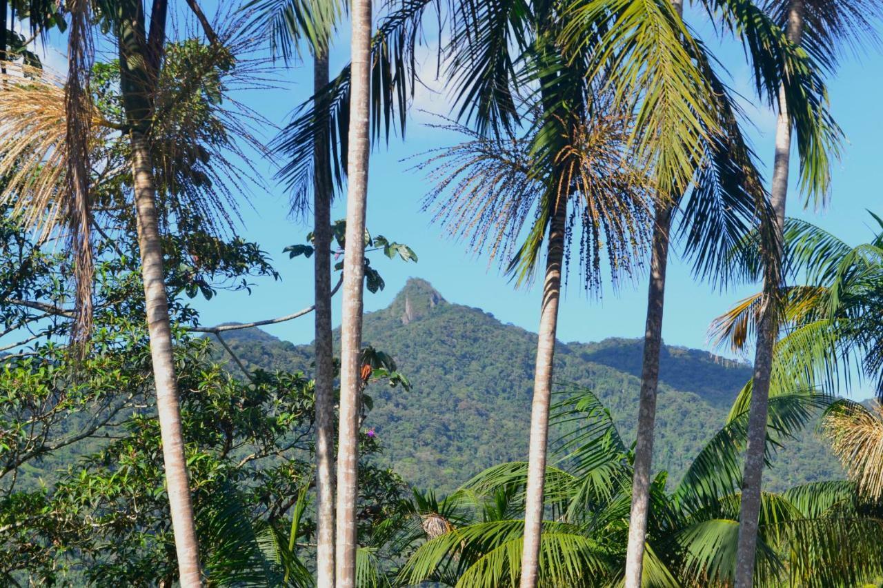 Casa Da Floresta Pico Da Aguia 帕拉蒂 外观 照片